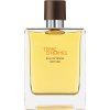 HERMÈS Terre d’Hermès Eau Intense Vétiver parfumovaná voda pre mužov 100 ml HERMÈS Terre d’Hermès Eau Intense Vétiver parfumovaná voda pre mužov 100 ml
