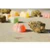 Dizzy Amsterdam Sativa Gummies 8 x 60mg Dizzy Amsterdam Sativa Gummies 8 x 60mg
