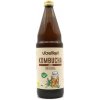 Kombucha original bio 750ml Voelkel Kombucha original bio 750ml Voelkel