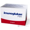 Pleuran Imunoglukan 100 mg P4H 60 kapsúl Pleuran Imunoglukan 100 mg P4H 60 kapsúl