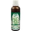 Naděje Bacopa - tinktúra z púčikov P70 Objem: 50 ml Naděje Bacopa - tinktúra z púčikov P70 Objem: 50 ml