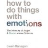 How to Do Things with Emotions (Owen Flanagan)(Brožovaná) How to Do Things with Emotions (Owen Flanagan)(Brožovaná)