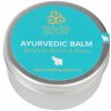 HEALING NATURE Ajurvedský balzám 30 g HEALING NATURE Ajurvedský balzám 30 g