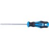 Extol Premium 8819232 - Skrutkovač krížový PH, magnetický, PH2 x 125mm Extol Premium 8819232 - Skrutkovač krížový PH, magnetický, PH2 x 125mm