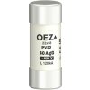 Pojistková vložka PV22 40A gG OEZ 06748 Pojistková vložka PV22 40A gG OEZ 06748
