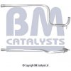 BM CATALYSTS BM50412