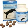 Woykoff Arthronis fáza 1 Mini 60tbl Woykoff Arthronis fáza 1 Mini 60tbl
