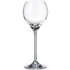 CRYSTALITE BOHEMIA BOHEMIA CARDUELIS POHÁR NA BIELE VÍNO 240ML SADA 6KS CRYSTALITE BOHEMIA BOHEMIA CARDUELIS POHÁR NA BIELE VÍNO 240ML SADA 6KS