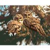 Diamondi Diamantové maľovanie - SOVY NA STROME (D. RUSTY RUST) Rámovanie: vypnuté plátno na rám, Rozmer: 40x50 cm Diamondi Diamantové maľovanie - SOVY NA STROME (D. RUSTY RUST) Rámovanie: vypnuté plátno na rám, Rozmer: 40x50 cm