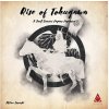 Small Samurai Empires - Rise of Tokugawa Small Samurai Empires - Rise of Tokugawa
