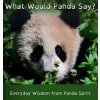 What Would Panda Say? (Pevná) What Would Panda Say? (Pevná)