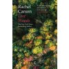 Lost Woods - Rachel Carson Lost Woods - Rachel Carson