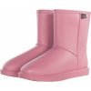 HKM Davos Summer rose