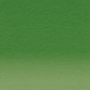 Pastelka Derwent Inktense - 1520 Hooker's Green Pastelka Derwent Inktense - 1520 Hooker's Green