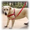 PetSafe EasySport postroj pre psa PetSafe EasySport postroj pre psa