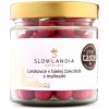 Slowlandia Lieskovce v bielej čokoláde s malinami 100 g Slowlandia Lieskovce v bielej čokoláde s malinami 100 g
