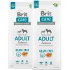 Brit Care Dog Grain-free Adult Salmon 2 x 12 kg Brit Care Dog Grain-free Adult Salmon 2 x 12 kg