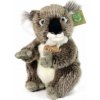 Eco-Friendly Rappa koala 22 cm