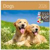 Dogs nástěnný 2026