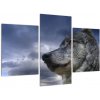 Obraz vlka (Obraz 90x60cm) Obraz vlka (Obraz 90x60cm)