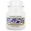 Yankee Candle Small Jar Midnight Jasmine 104g Yankee Candle Small Jar Midnight Jasmine 104g