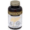 MASTICHA ORIGINAL - Apothecary cps 1x100 ks MASTICHA ORIGINAL - Apothecary cps 1x100 ks