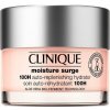 Clinique Moisture Surge 100H Auto-Replenishing Hydrator gélový krém 50 ml Clinique Moisture Surge 100H Auto-Replenishing Hydrator gélový krém 50 ml