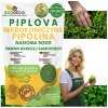 Semená okrasnej trávy Eco Deco Pipolina 0,5 kg na 400 m2 Semená okrasnej trávy Eco Deco Pipolina 0,5 kg na 400 m2