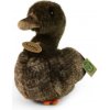 Eco-Friendly Rappa kachna 23 cm Eco-Friendly Rappa kachna 23 cm