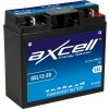 Axcell GEL12-20 Axcell GEL12-20