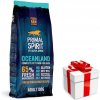 Primal Spirit Dog 65% Oceanland 12 kg