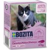 Bozita Cat kousky v omáčce s krevetami, tetrapak 370 g Bozita Cat kousky v omáčce s krevetami, tetrapak 370 g