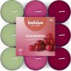 Bolsius Cranberry 18 ks