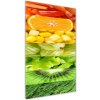 Vertikálny fotoobraz na skle Ovocie a zelenina 50x100 cm Vertikálny fotoobraz na skle Ovocie a zelenina 50x100 cm