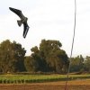 Scarybird Výška ohybnej tyče: 9 m Scarybird Výška ohybnej tyče: 9 m