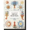Ernst Haeckel - Rainer Willmann, Julia Voss Ernst Haeckel - Rainer Willmann, Julia Voss