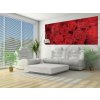 ForWall Fototapeta panoramatická vliesová Červené ruže 250 x 104 cm