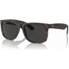 Ray-Ban RB4165 865 87