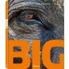 Kniha Big Kniha Big