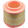 Vzduchový filter Castrol CA0253 Vzduchový filter Castrol CA0253