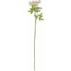 Umelá kvetina výška 66 cm FENNEL Bloomingville - ružová Umelá kvetina výška 66 cm FENNEL Bloomingville - ružová