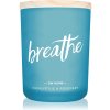 DW Home Zen Breathe vonná sviečka 210 g DW Home Zen Breathe vonná sviečka 210 g