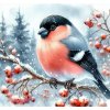 NORIMPEX Diamantové maľovanie Vtáčik v zime 30 x 40 cm