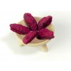 Brix Mrazom sušená pitahaya 30 g
