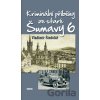 Kriminální příběhy ze staré Šumavy 6 - Vladimír Šindelář Kriminální příběhy ze staré Šumavy 6 - Vladimír Šindelář