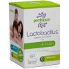 Herbo Medica Protopan ProBiotika + inulin 60 tabliet Herbo Medica Protopan ProBiotika + inulin 60 tabliet
