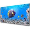 Obraz na akrylátovom skle Ryba príroda 100x50 cm Obraz na akrylátovom skle Ryba príroda 100x50 cm