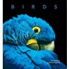 Simon Papps - Birds Simon Papps - Birds
