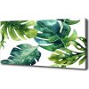 Foto obraz na plátne do obývačky Tropické lístia 100x50 cm Foto obraz na plátne do obývačky Tropické lístia 100x50 cm