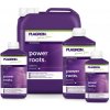 PLAGRON Power roots 1l